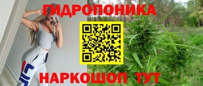 стафф Донецк