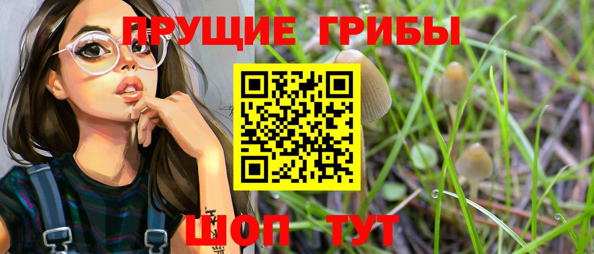 Карталы  магазин продажи   Вход с VPN  Псилоцибиновые грибы Psilocybine cubensis 